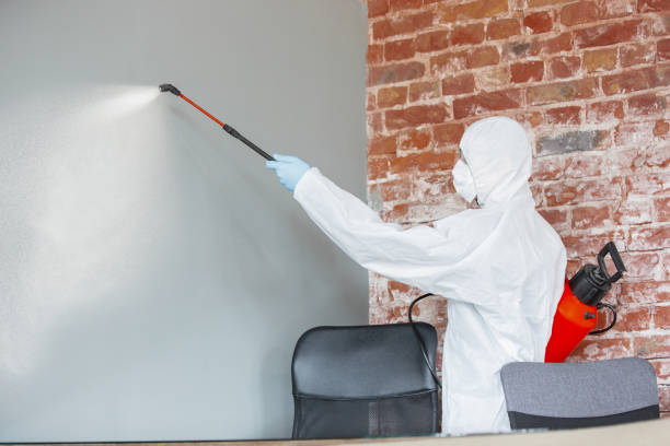 Best Crawl Space Mold Remediation  in Fairwood, WA