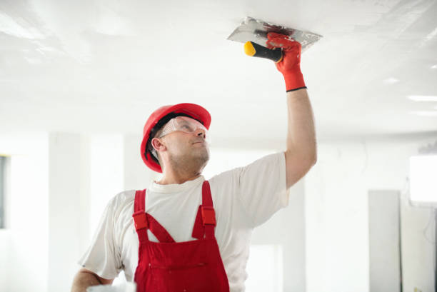 Best Attic Mold Removal  in Fairwood, WA