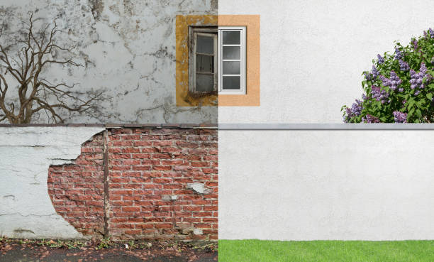 Best Post-Construction Mold Inspection  in Fairwood, WA